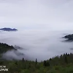 Orman Evi Görnek Tabıat Parki *