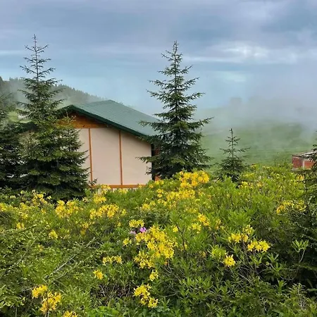 Sultanmurat-otel-goernek Tabiat Parki *