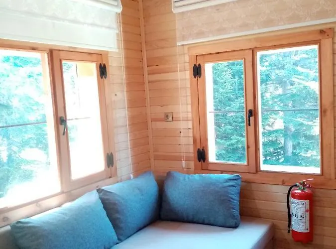 Görnek Tabıat Parki Orman Evi Trabzon