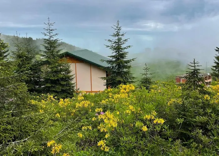 Görnek Tabıat Parki *