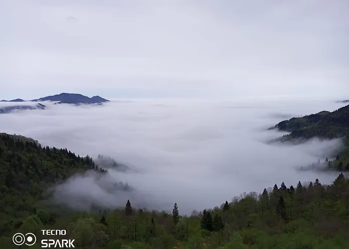 Orman Evi Görnek Tabıat Parki *